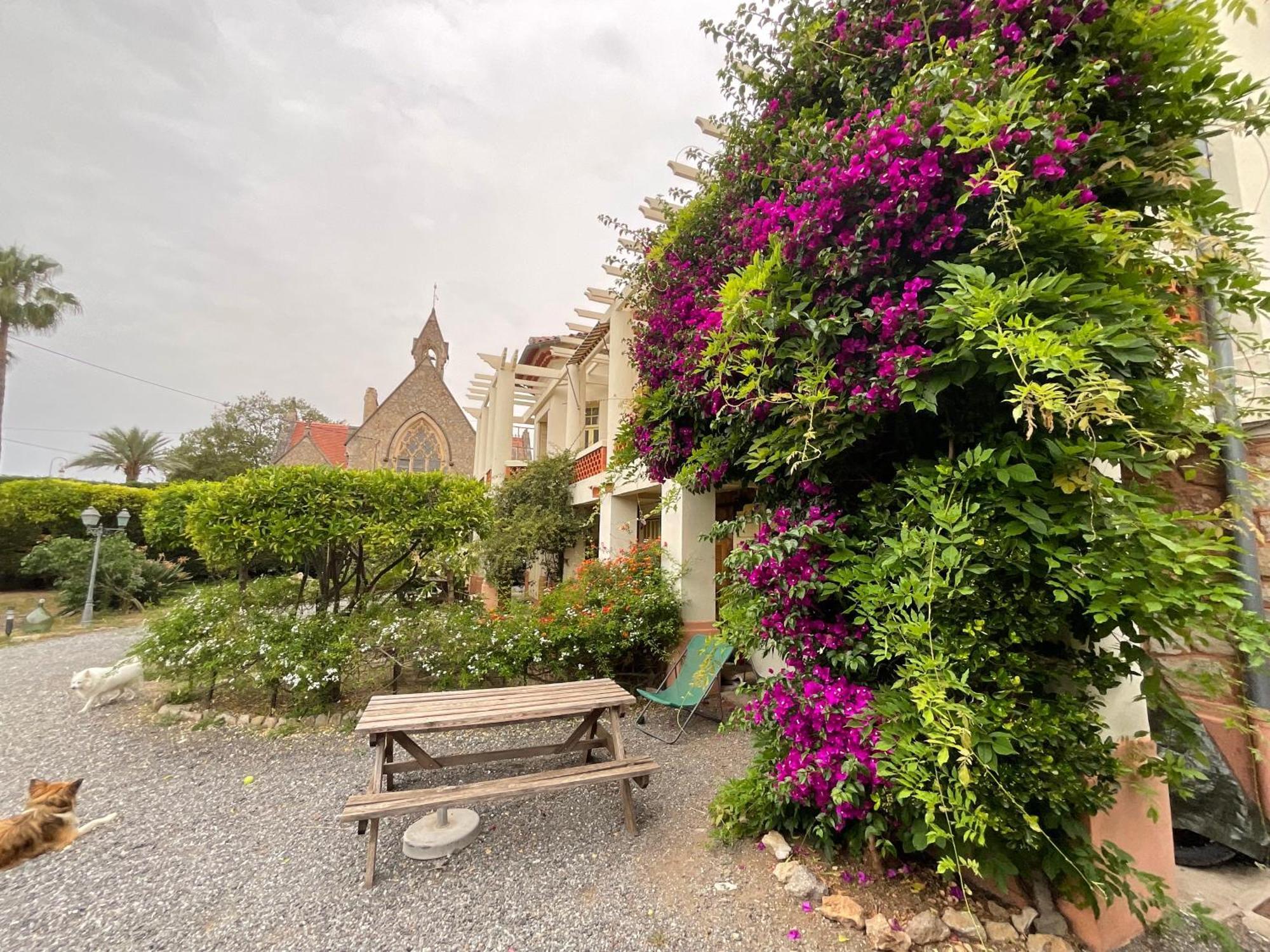 Villa La Provence Hyères Extérieur photo