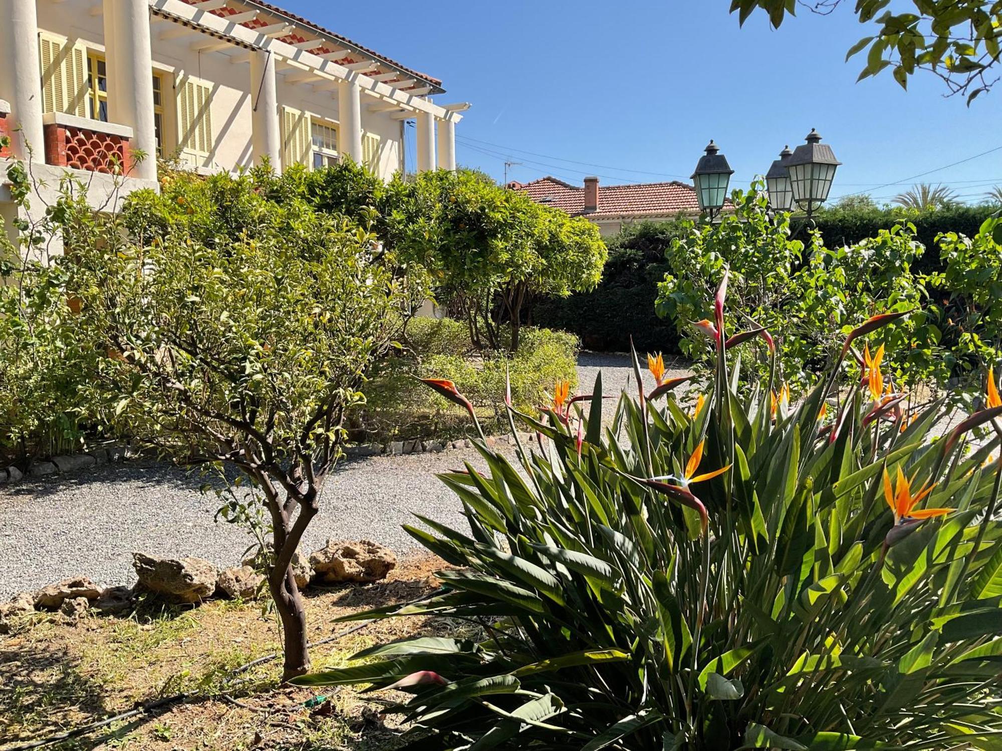Villa La Provence Hyères Extérieur photo