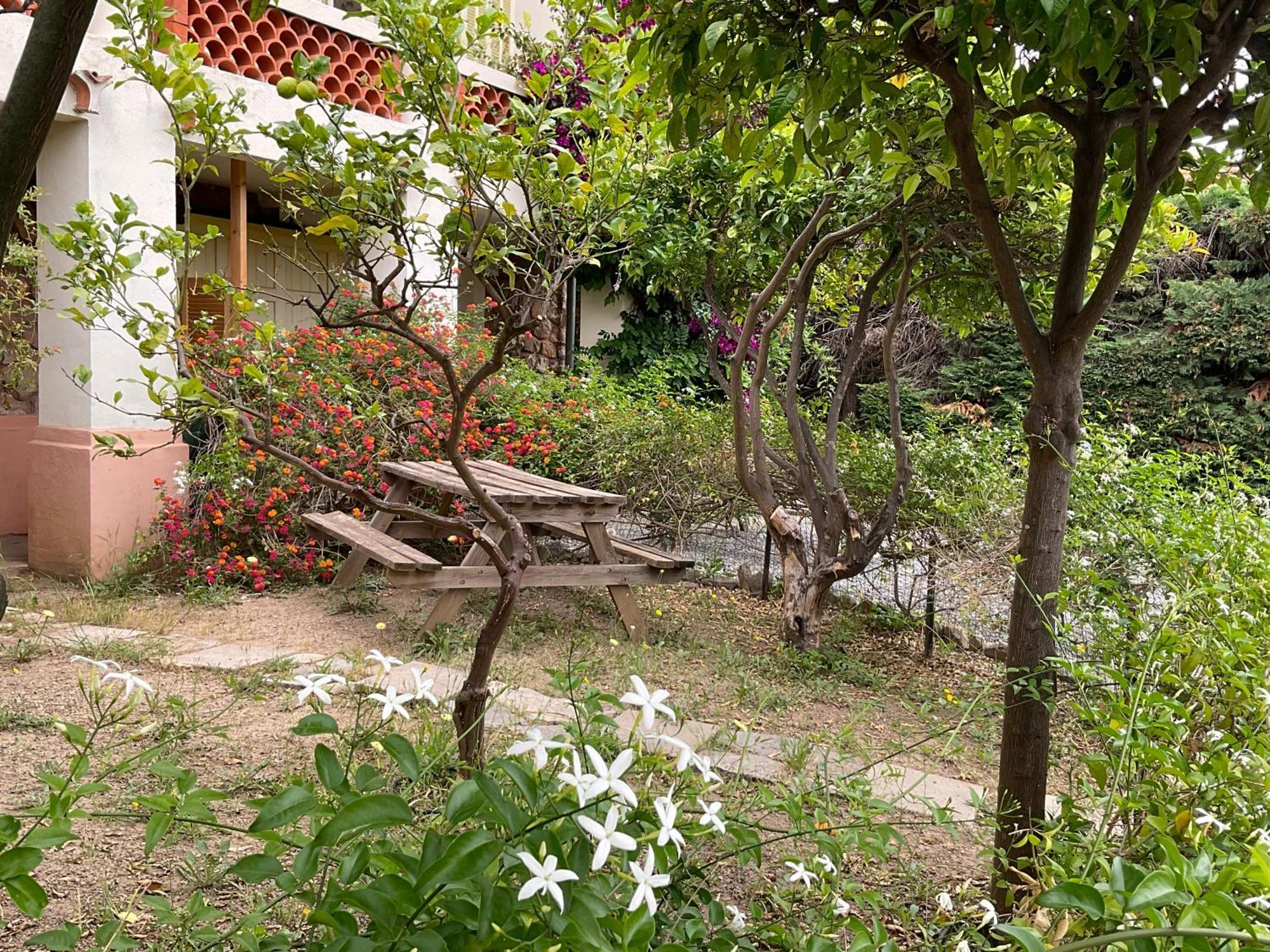 Villa La Provence Hyères Extérieur photo