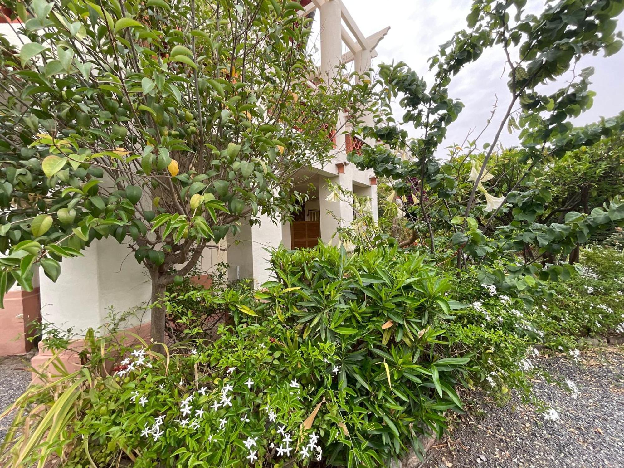 Villa La Provence Hyères Extérieur photo